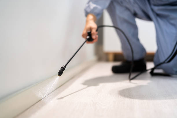 Licensed Cockroach Control service in Grayville, IL - Nex Pest Control