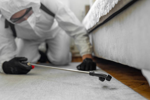 Professional Cockroach Control technician working in Grayville, IL