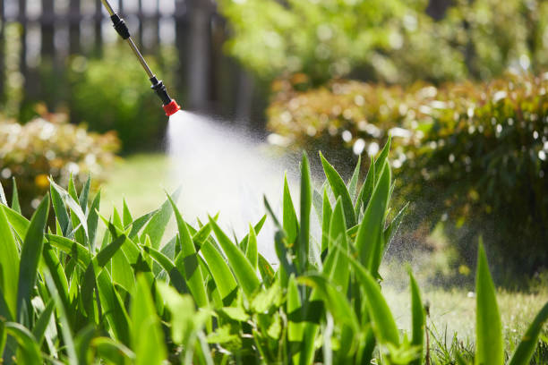 24/7 Emergency Cockroach Control experts in Grayville, IL