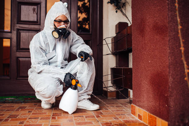Reliable Cockroach Control contractor in Grayville, IL by Nex Pest Control