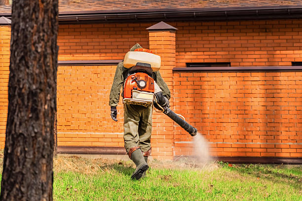 Top rated local Cockroach Control specialists in Grayville, IL